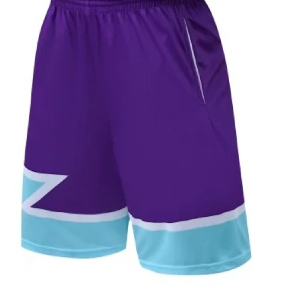 Purple and Blue Men's Shorts